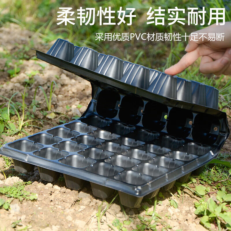 厚积薄发，21孔育苗盘的守护之道 —— 一颗种子的专业起点