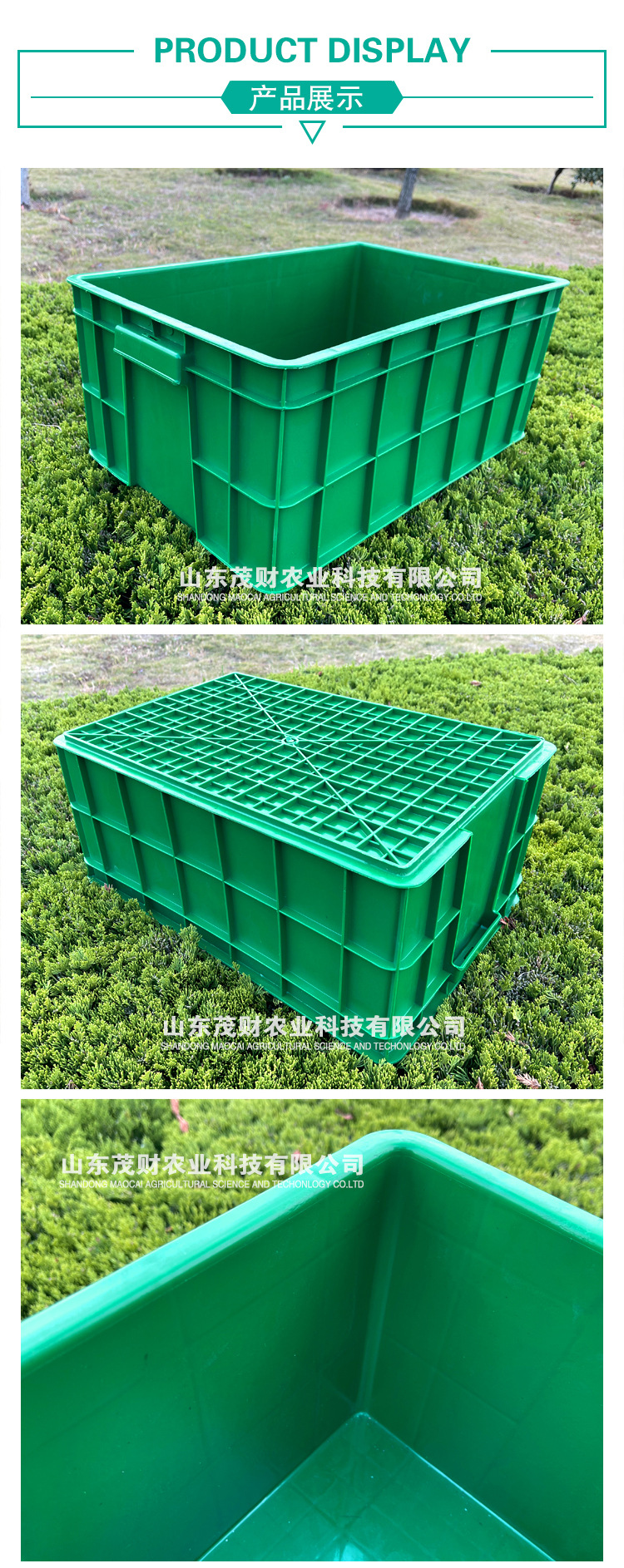 绿色高效，从一箱优质花生芽开始——厂家直销水培箱解析