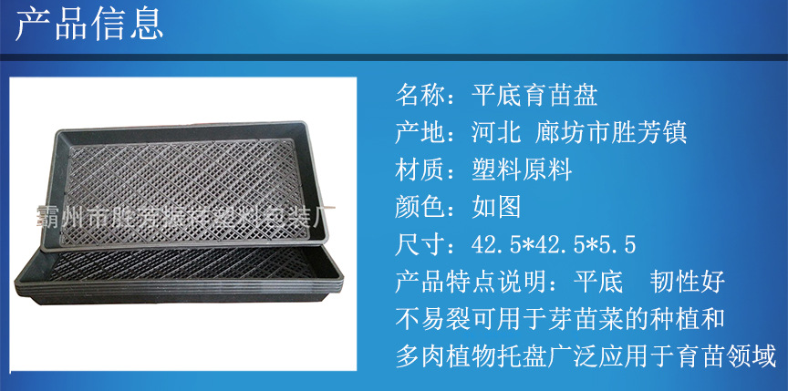 芽苗盘 多肉育苗盘 平底育苗盘加厚正方盘