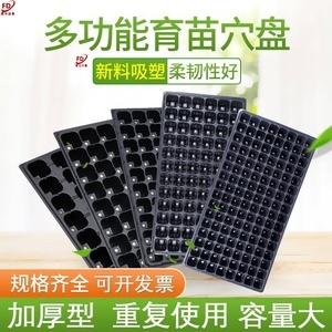 育苗盘穴盘32